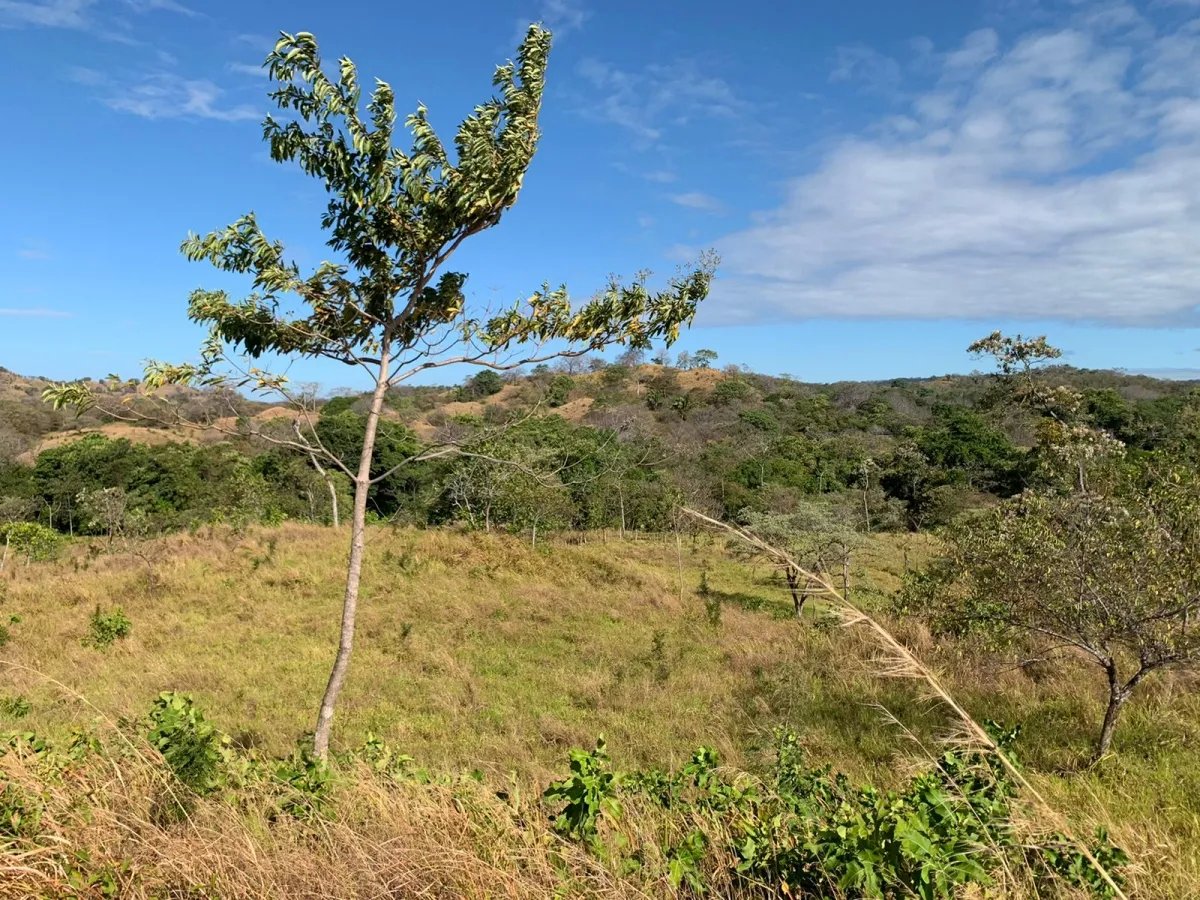 Terreno/Granja en Venta en Santa Catalina