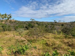 142989 - Santa catalina - lots