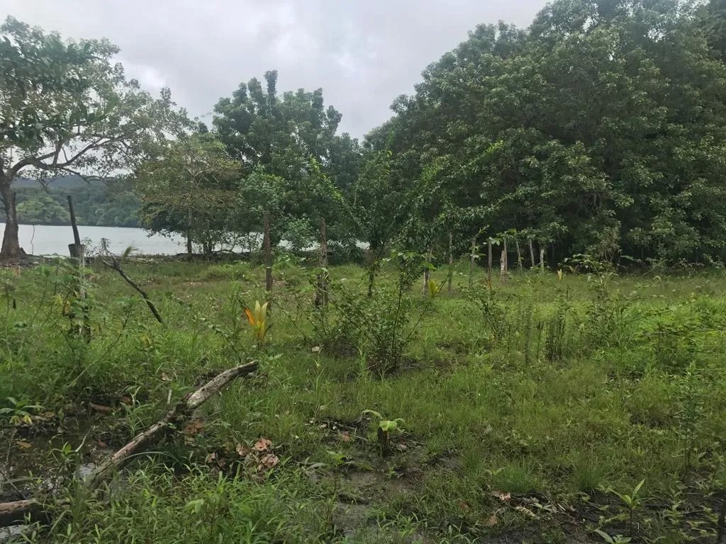 Terreno/Granja en Venta en Veraguas