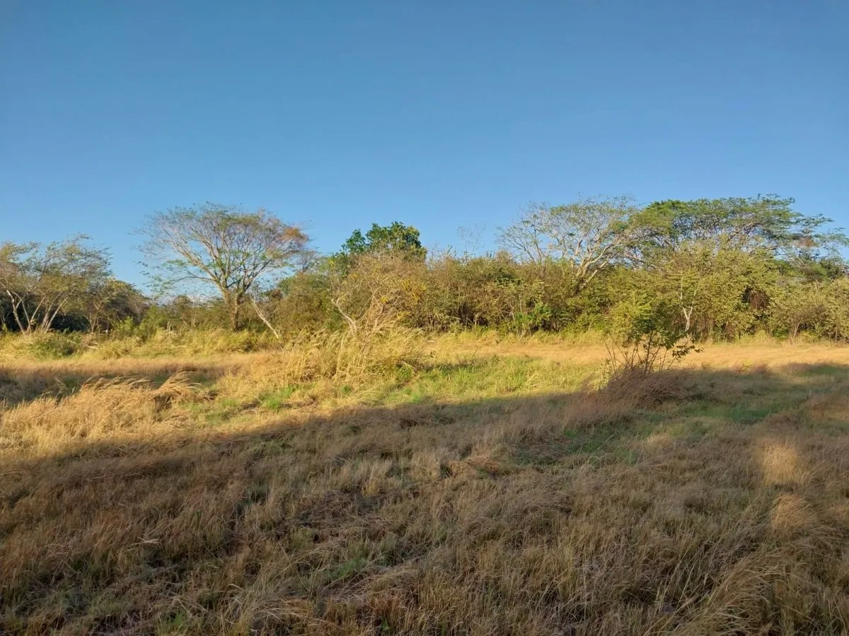 Venta de terreno en Antón