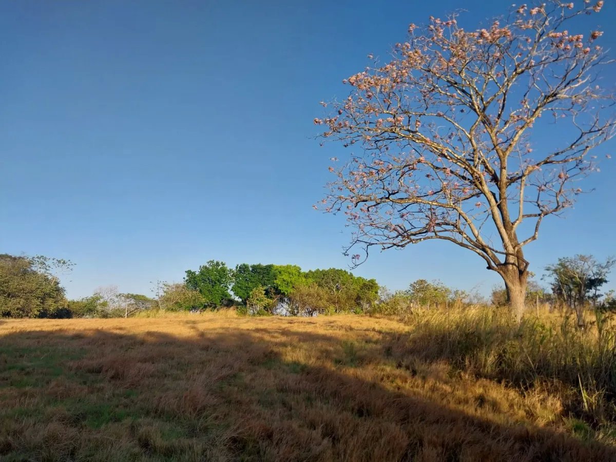Venta de terreno en Antón