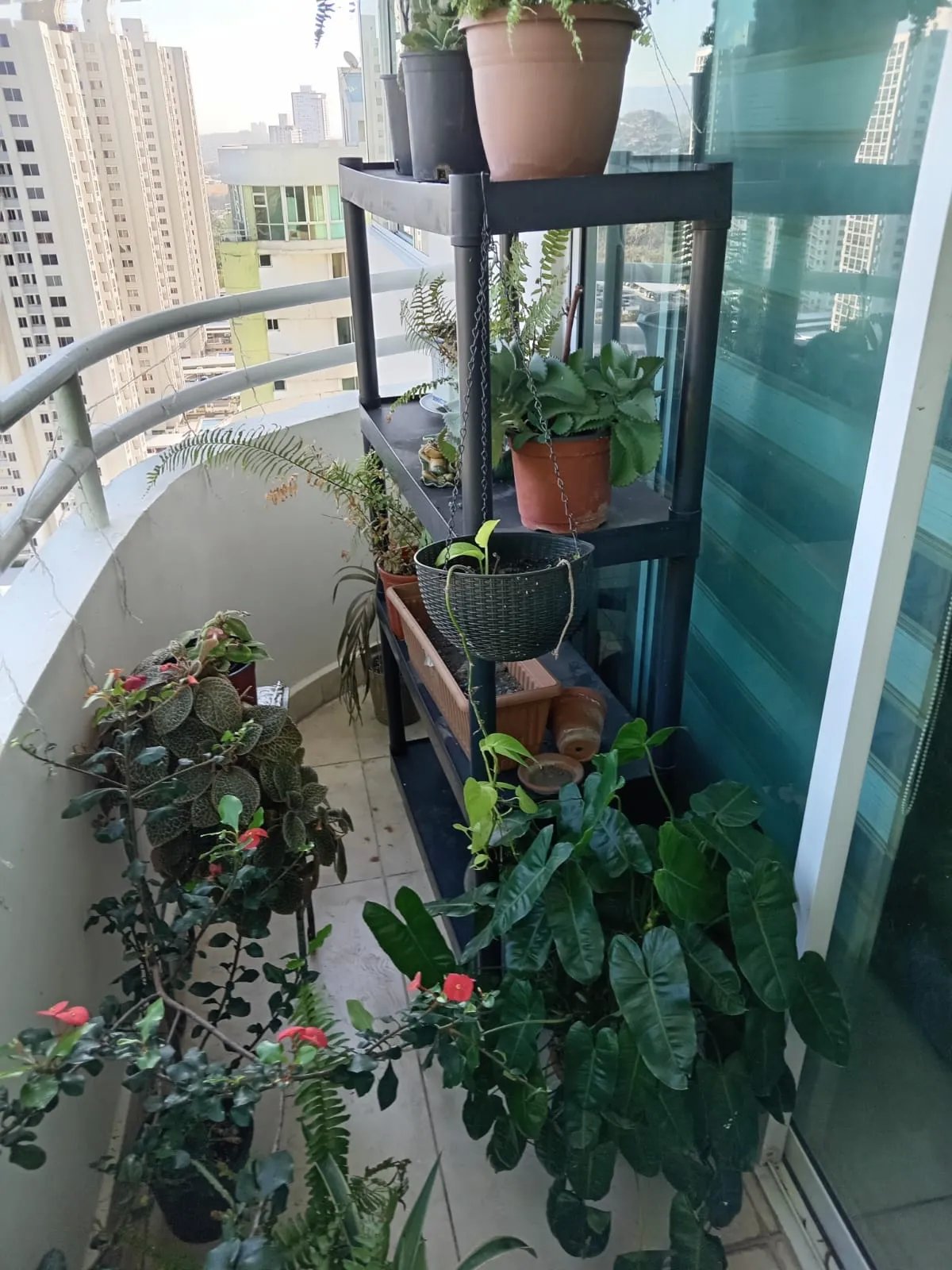 Venta de Green Park en Condado del Rey