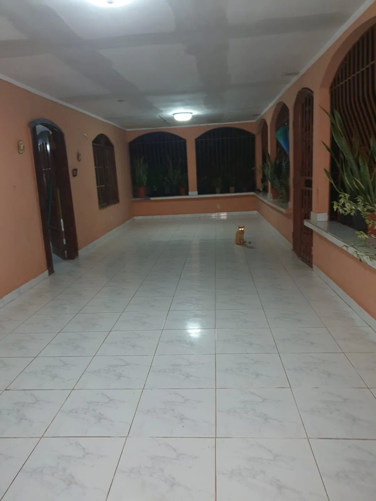 VENDO PROPIEDAD COMERCIAL EL COCO LA CHORRERA
