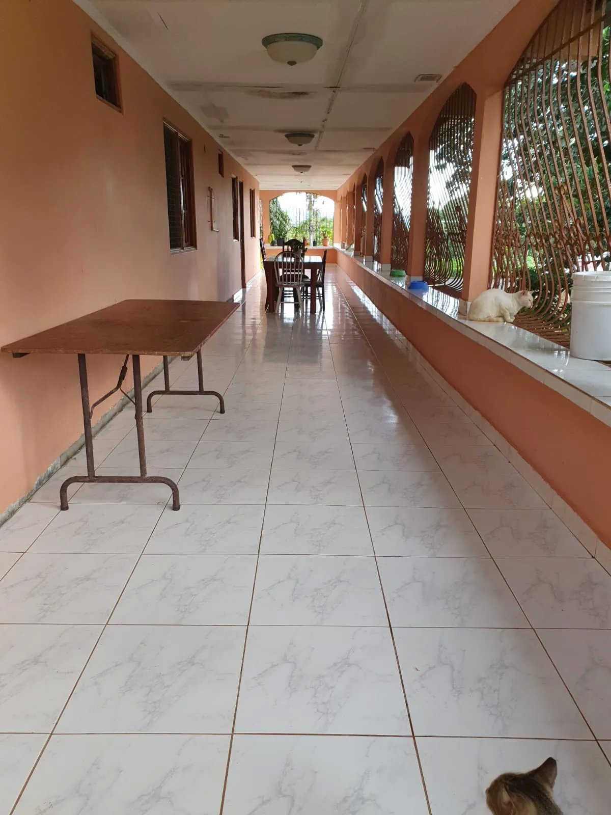 VENDO PROPIEDAD COMERCIAL EL COCO LA CHORRERA