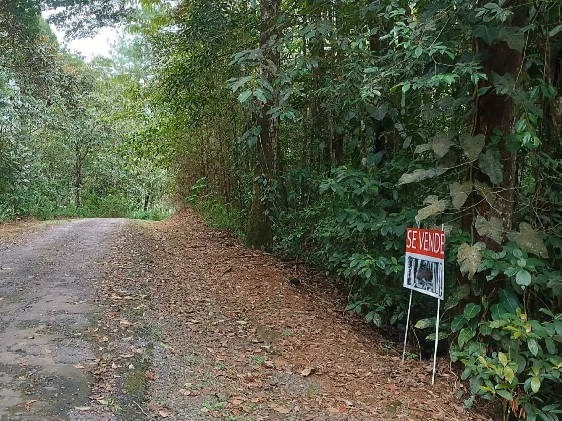 Se Vende Lote en Vía Principal a Cerro Azul/Lot for Sale on Main Road ...