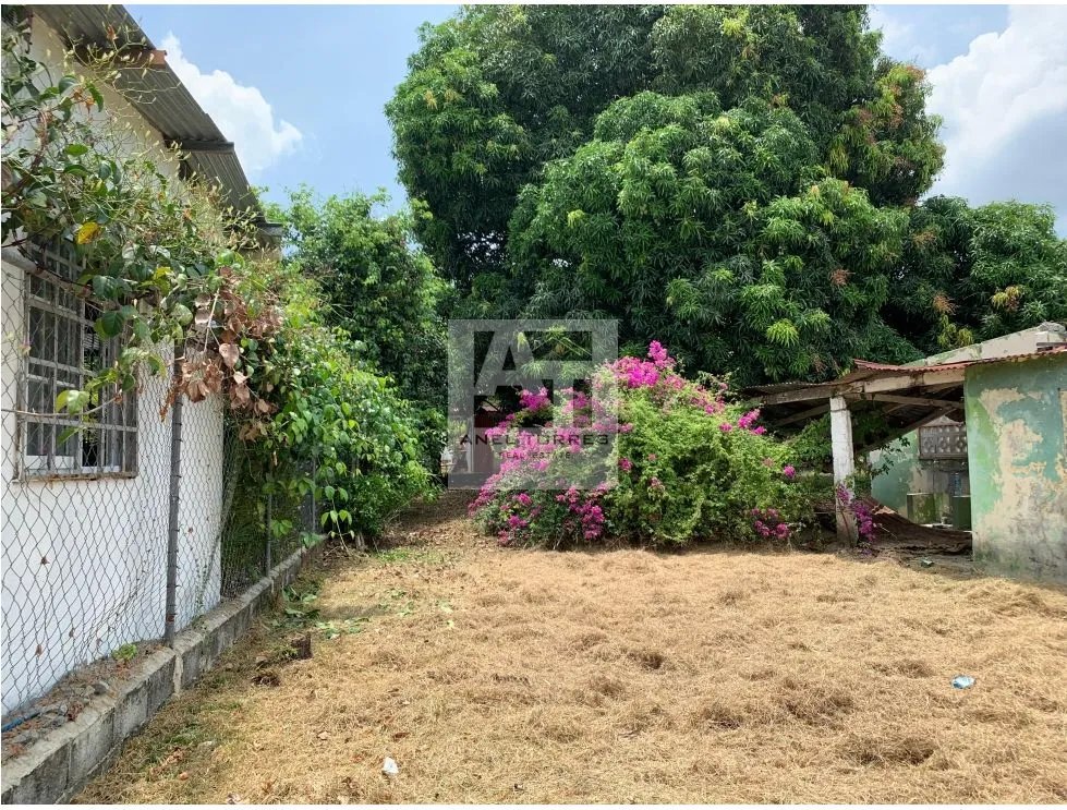 Se Vende Terreno en Victoriano Lorenzo Bejuco.