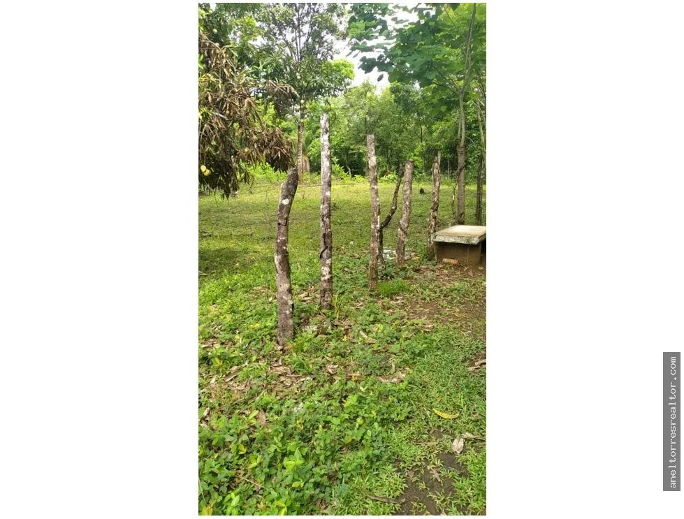 Se vende terreno en Rio de Jesús, Veraguas