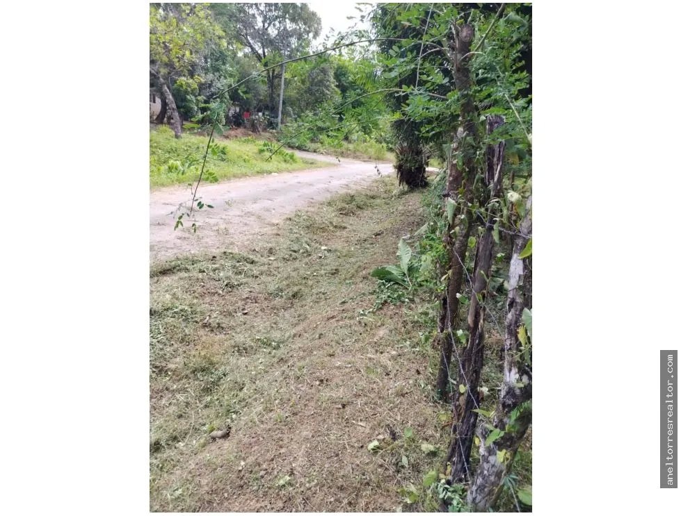Se vende terreno en Rio de Jesús, Veraguas