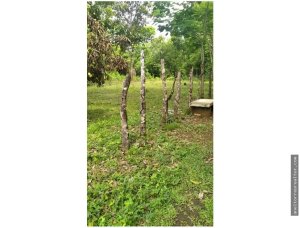 143073 - Veraguas - lots