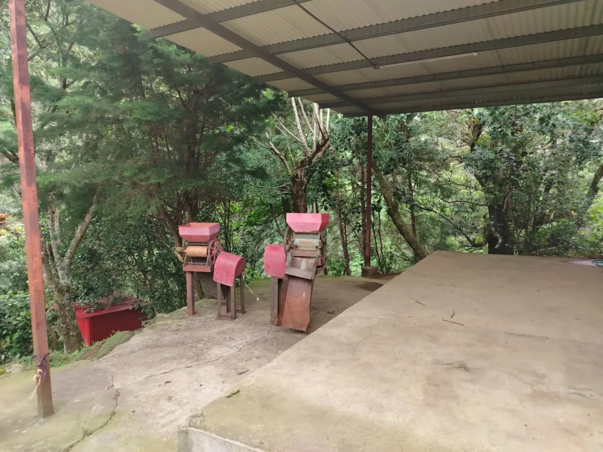 Finca de Cafe en Boquete | Los Naranjos Chiriqui Panamá | $15,000,000