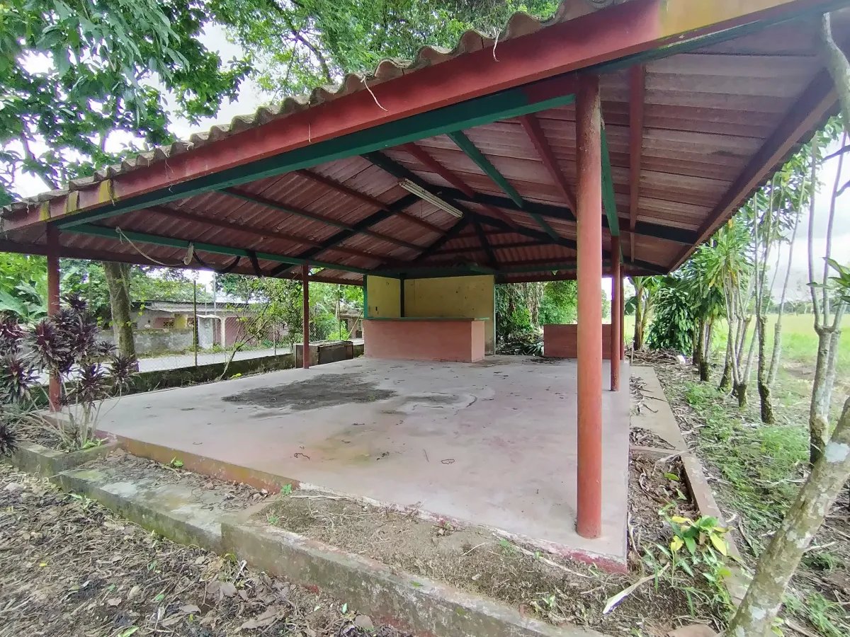 Galera en Venta en Panamá | David, Chiriquí Propiedad Industrial de 1 Hectárea