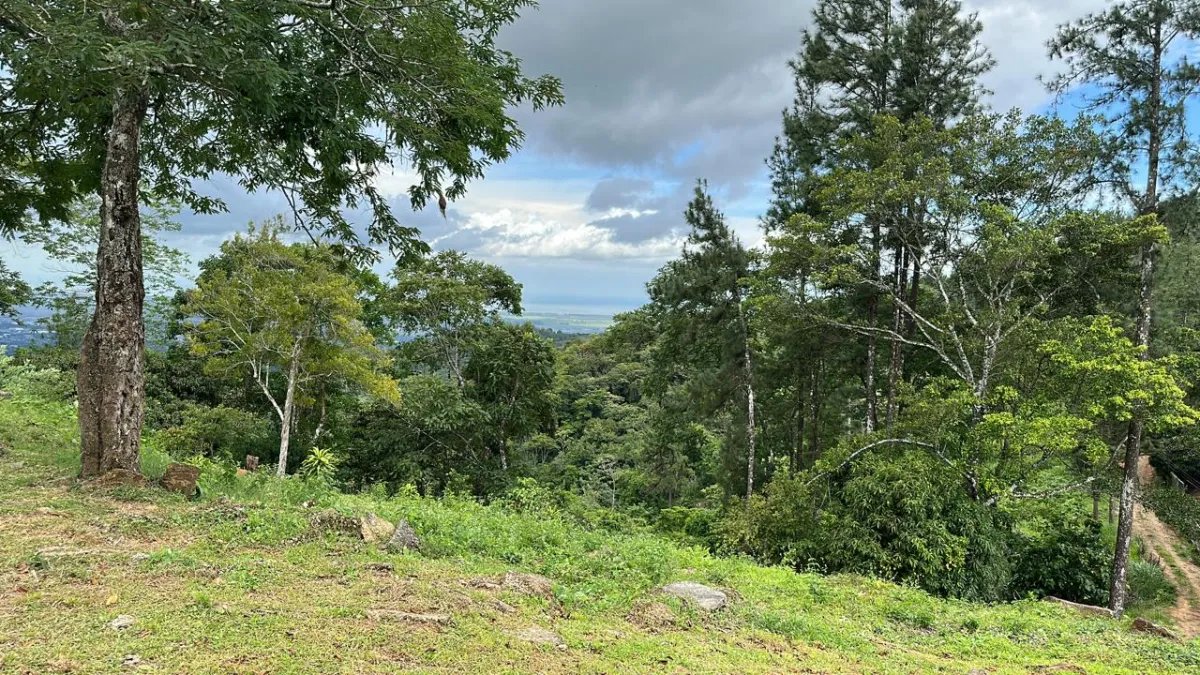 71 hectáreas de terreno de montaña con río | Cerro Azul | $1/m²