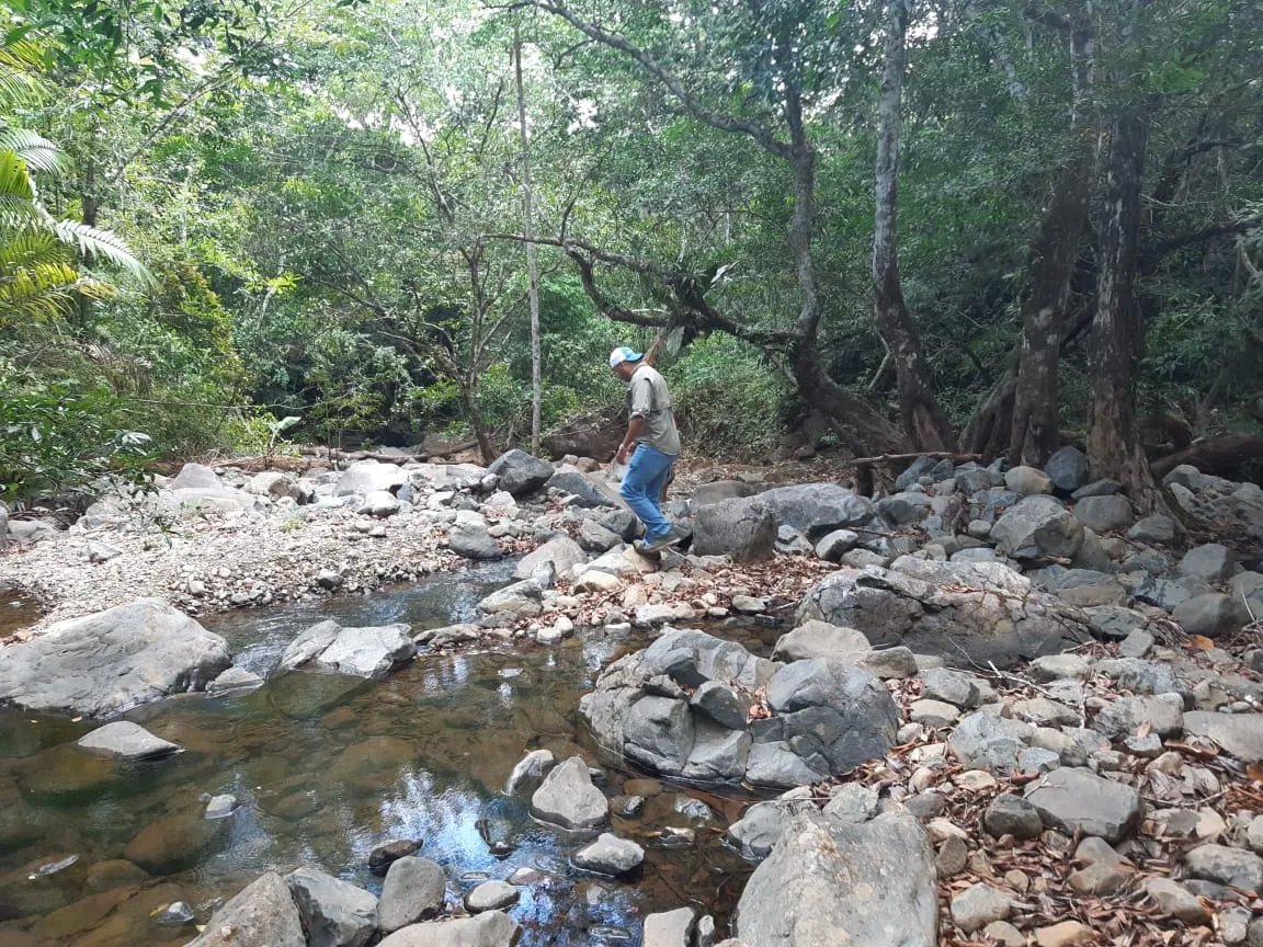 71 hectáreas de terreno de montaña con río | Cerro Azul | $1/m²
