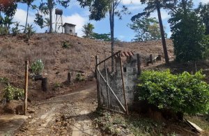 143149 - Cerro azul - lots