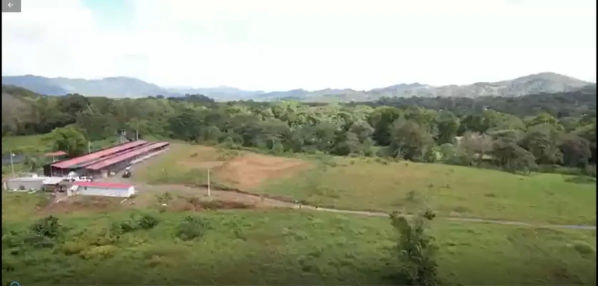 ¡Gran Oportunidad de Inversión! Vendo Finca de 50 Hectáreas en Buena Vista 