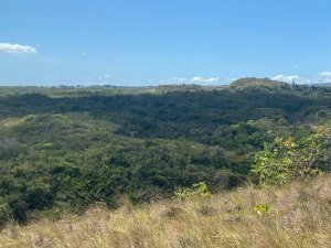 143174 - San carlos - lots - casamar