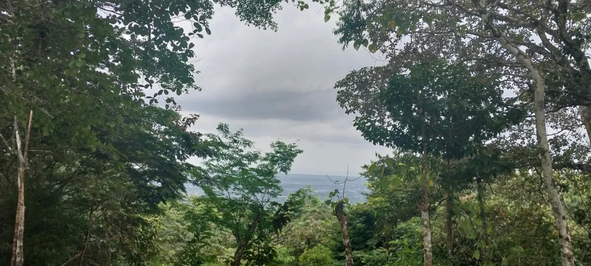 Terreno Ideal para Desarrollo en Altos de Tocumen con Vista Panorámica...