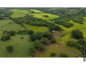 143259 - San jose - san carlos - properties