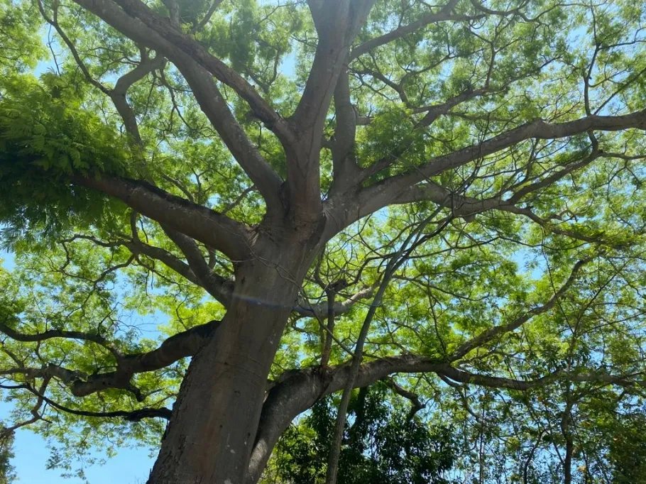 Venta de Terreno de Playa en Rio Hato 8,790 m2