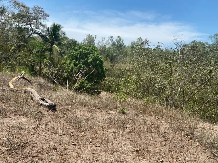 Venta de Terreno de Playa en Rio Hato 8,790 m2