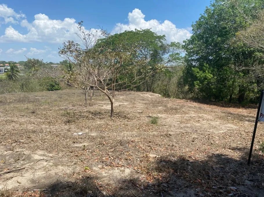 Venta de Terreno de Playa en Rio Hato 8,790 m2