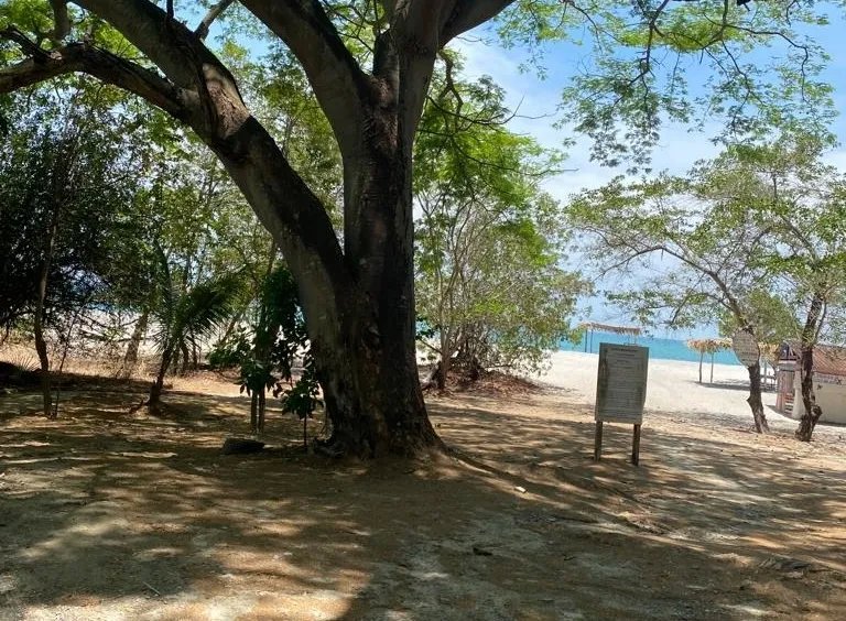 Venta de Terreno de Playa en Rio Hato 8,790 m2