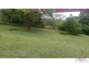 143363 - San carlos - lots - rio mar