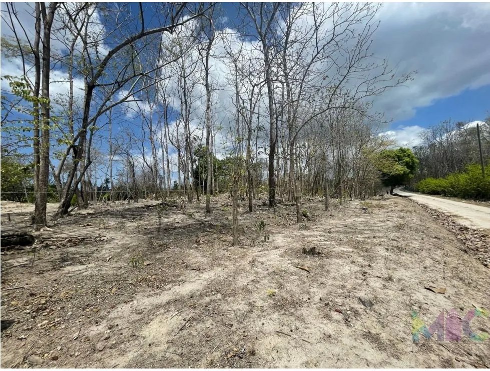 Se Vende Terreno en San Carlos Mata Palo