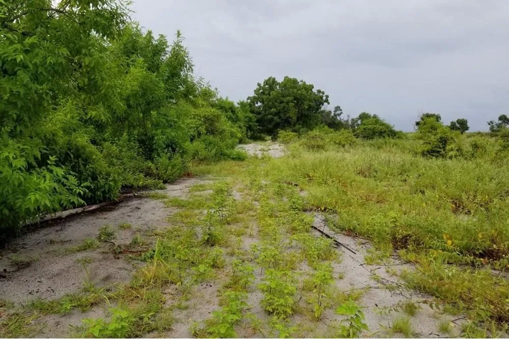 Lote frente a la playa en venta en Punta Chame, frente al mar