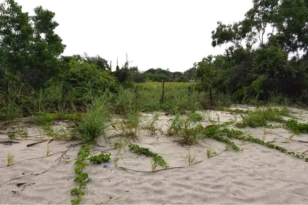 Lote frente a la playa en venta en Punta Chame, frente al mar