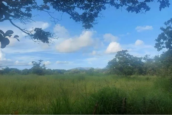 Farm for sale in Punta Barco, San Carlos