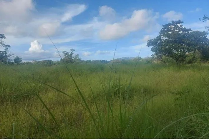 Farm for sale in Punta Barco, San Carlos