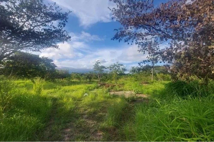 Farm for sale in Punta Barco, San Carlos