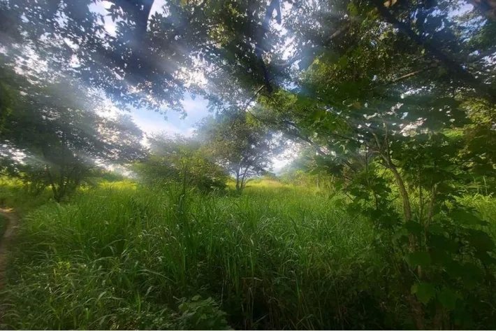 Farm for sale in Punta Barco, San Carlos