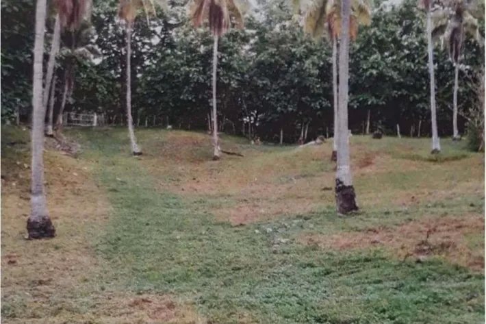 Land for sale in El Higo de San Carlos