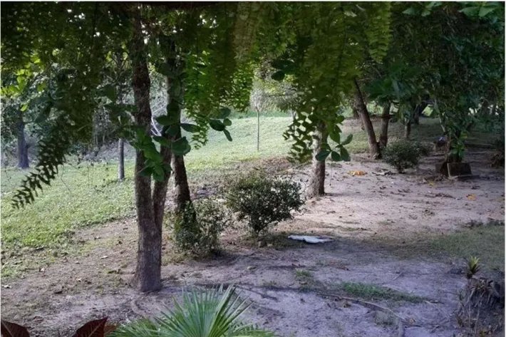 Land for sale in El Higo de San Carlos