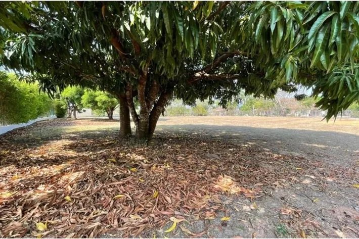 Land for sale at Club de Golf, Coronado, Chame