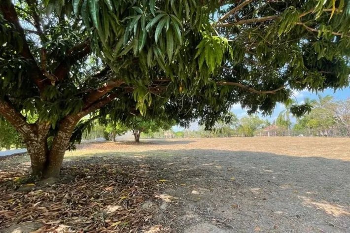 Land for sale at Club de Golf, Coronado, Chame