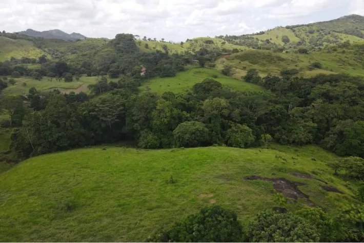 Finca for sale in La Chorrera, Panama West