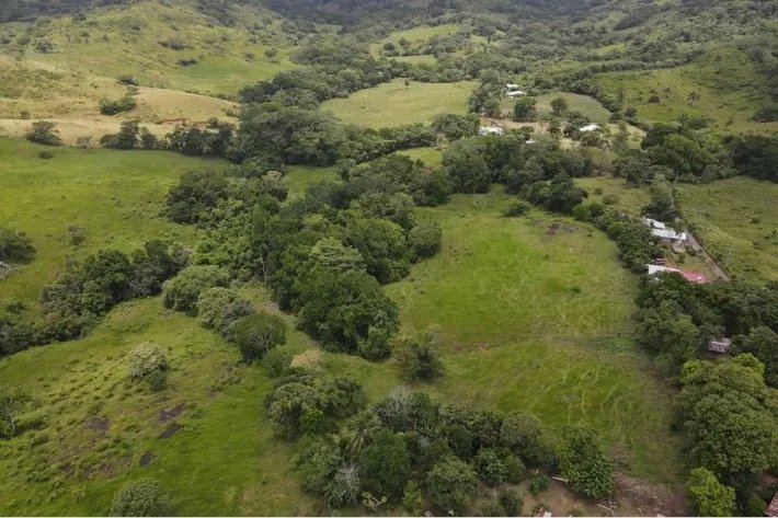 Finca for sale in La Chorrera, Panama West
