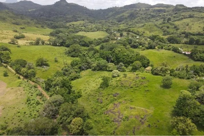 Finca for sale in La Chorrera, Panama West