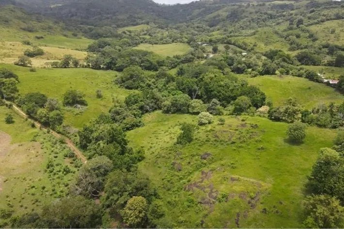 Finca for sale in La Chorrera, Panama West