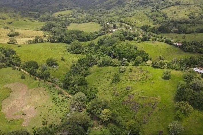 Finca for sale in La Chorrera, Panama West