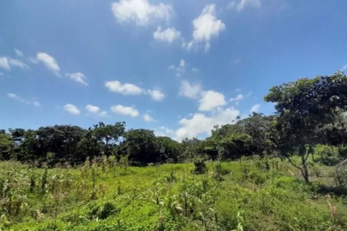 Land for sale in Gobea, Donoso, Colón