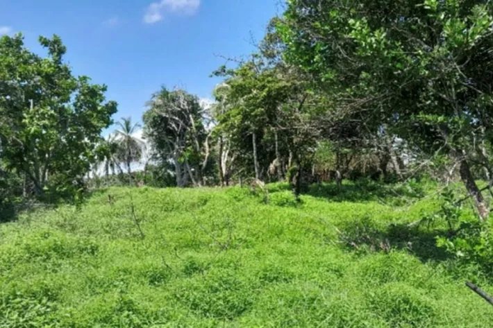 Land for sale in Gobea, Donoso, Colón