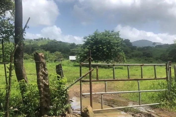 Land for sale in Tanara, Chepo