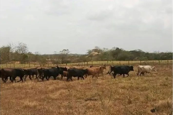 Land for sale in Tanara, Chepo