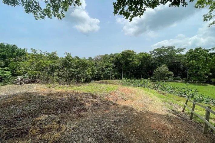 Finca for sale in Viento Frío, Santa Isabel