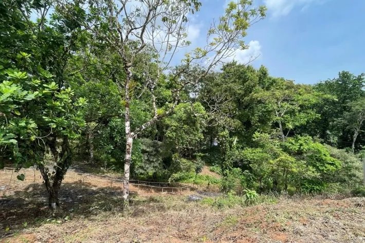 Finca for sale in Viento Frío, Santa Isabel
