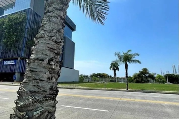 Land for sale in Santa María Business District